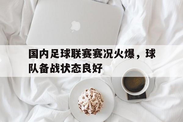 国内足球联赛赛况火爆，球队备战状态良好